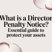 what-is-a-director-penalty-notice-director-penalty