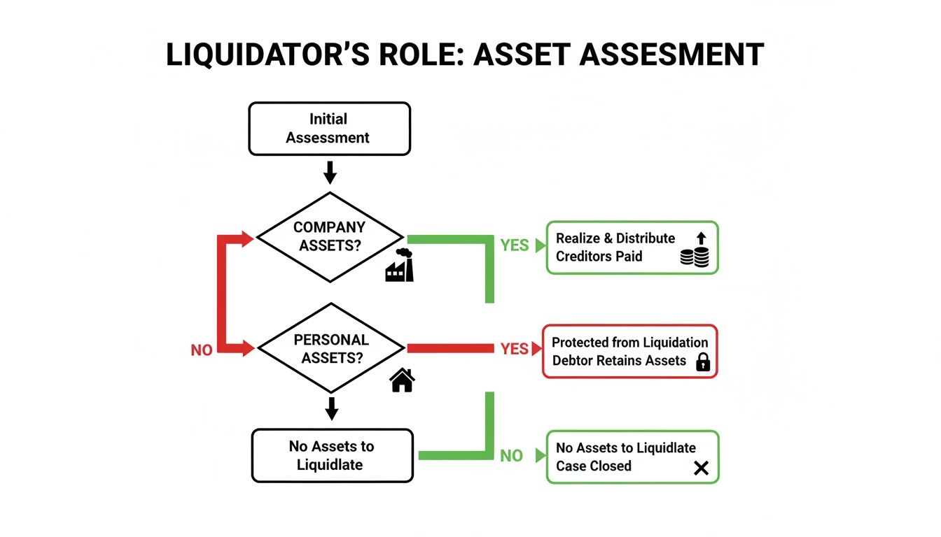 Flowchart detailing a liquidator's role in assessing company and personal assets during liquidation.